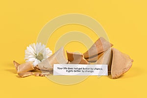 Note in fortune cookie saying `Your life does not get better by chance, it gets better by change`