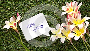 Note in shape of a chat bubble, with words Hello Spring! and flowers .