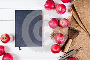 Notebook and apple on linen textiles on white wooden vintage background top view, dieting fruit with blank empty space