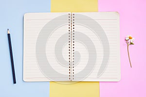 Notebook ,Black pencil and White Flower on Pink,Yellow and Blue Background