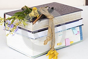 notebook ,dictionary book and pencil of student for study