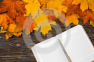A notebook with an empty space for text on a pile of bright autumn leaves against a dark wooden table