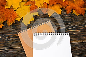 A notebook with an empty space for text on a pile of bright autumn leaves against a dark wooden table. Top view, Flatley