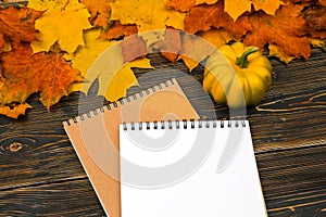 A notebook with an empty space for text, a pumpkin on a pile of bright autumn leaves against a dark wooden table