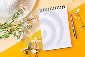 Notebook, flowers, hat, pen on colorful background, flat lay