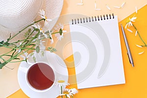 Notebook, flowers, hat, pen on colorful background, flat lay