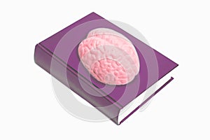 notebook with human brain anatomical model isolated on white background
