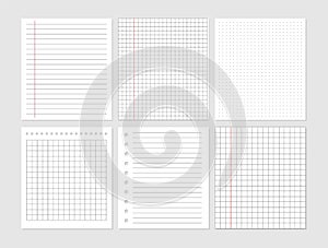 Notebook paper sheet document. Graphical blank paper sheet set for data representation.