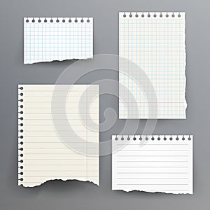 Notebook Papers With Torn Edge Vector Illustration. Ripped Paper Page Set, Empty Damaged Rip Paper. photo