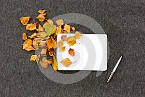 Notebook, pen and autumn leaves on grey background. The concept of autumn inspiration and creativity.