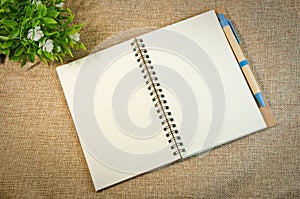 Notebook and pen on canvas background, education and business object