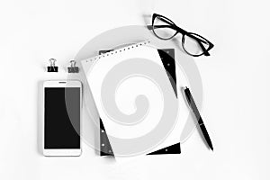 Notebook, pen, eye glasses, mobile phone, white sheet of paper, plant on a white background. Flat lay, top view, copy space.