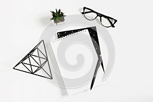 Notebook, pen, eye glasses, plant on a white background. Flat lay, top view, copy space