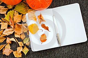 Notebook with pen, pumpkins and autumn leaves on grey background. The concept of autumn inspiration and creativity.