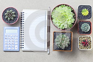 Notebook with pencil calculator and topview cactus on brown back