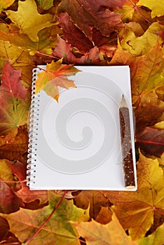 The notebook, pencil and orange yellow and red maple leafs