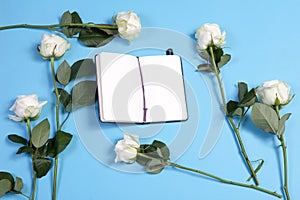 A notebook on the springs with a white rose on a blue background with an empty space for notes.