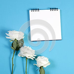Notebook on the springs with a white rose on a blue background with an empty space for notes.