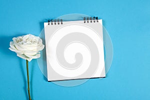 Notebook on the springs with a white rose on a blue background with an empty space for notes.