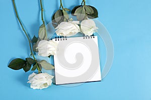 Notebook on the springs with a white rose on a blue background with an empty space for notes.