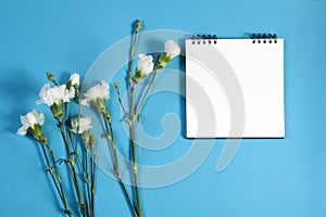Notizbuch auf der federn weiß rosen auf der Blau leer raum noten 