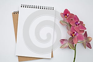 Notebook on white table with gift and pencil