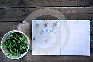 Notebook on a wooden background with seashells