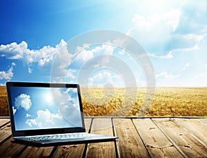 Notebook and yellow wheat field