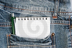 Notebooks and pen in pocket