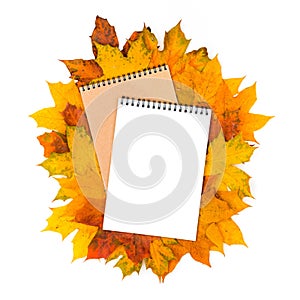 Notepad with empty space for text on a pile of bright autumn leaves isolated on a white background