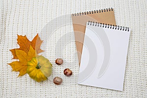 Notepad with an empty space for text on a pile of bright autumn leaves on a white textile knitted blanket background