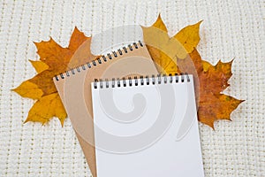 Notepad with an empty space for text on a pile of bright autumn leaves on a white textile knitted blanket background