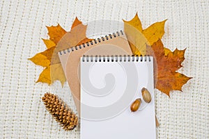 Notepad with an empty space for text on a pile of bright autumn leaves on a white textile knitted blanket background