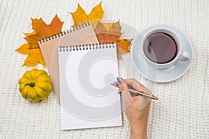 Notepad with an empty space for text on a pile of bright autumn leaves on a white textile knitted blanket background