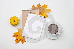 Notepad with an empty space for text on a pile of bright autumn leaves on a white textile knitted blanket background