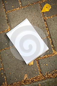 Notepad and leaves on the square pavement tiles