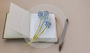 Notepad, muscari and pen on the table