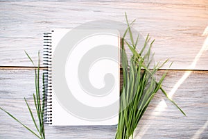 Notepad on a wooden background with young grass sprouts. Spring mocap