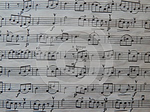 Notes for music lessons solfeggio