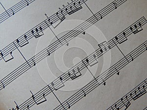 Notes for music lessons solfeggio