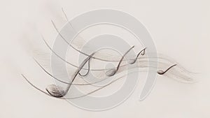 Notes and note lines, music theme, drawing on paper.