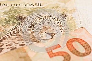 Notes of Real, Brazilian currency. Money from Brazil.