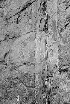 Notes in the Wailing Wall addressed to God. Jerusalem, Israel - monochrome.