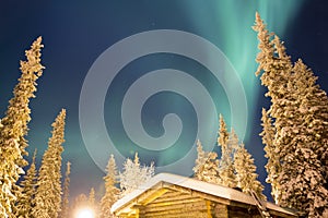 Nothern Lights above the white forest and cabin