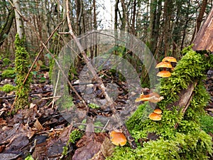 Nothing lasts forever