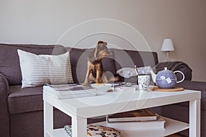 Nothing like home, cozy home environment, stock picture by Brian Holm Nielsen