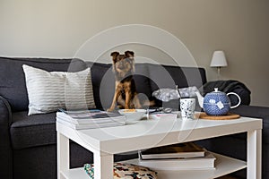 Nothing like home, cozy home environment, stock picture by Brian Holm Nielsen