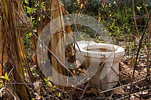 Nothing outdoor latrine in the forest cover,toilet