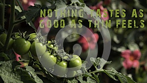Nothing tastes as good as thin feels phrase. Fresh fruits and vegetables