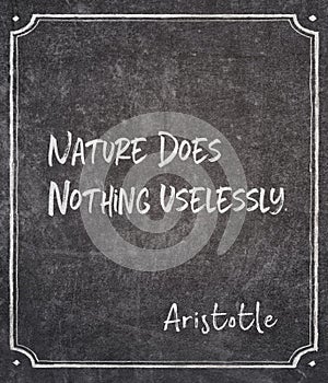 Nothing uselessly Aristotle
